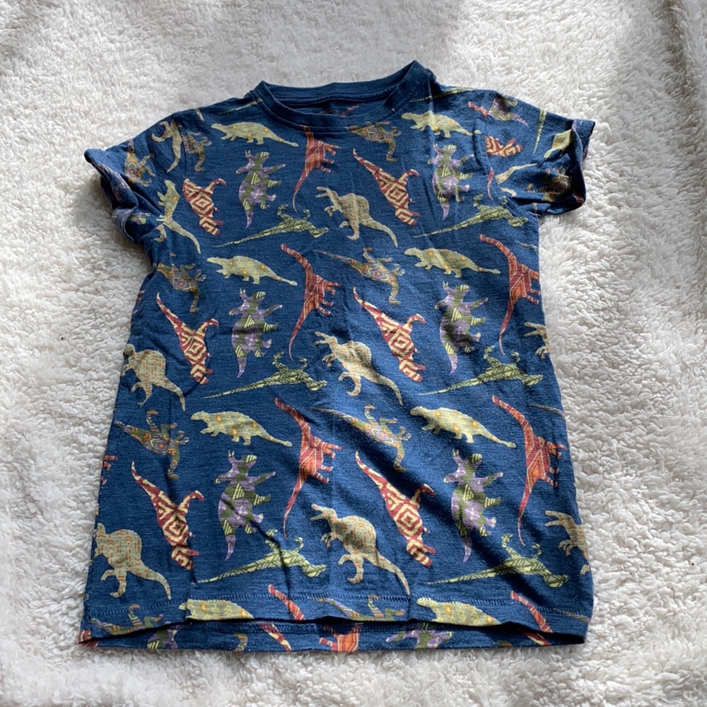 Next direct dinosaur shirt 8